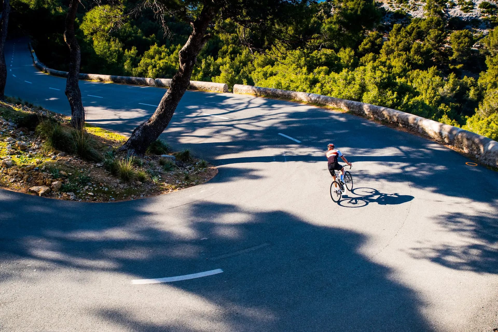 Cycling in the mediterranean