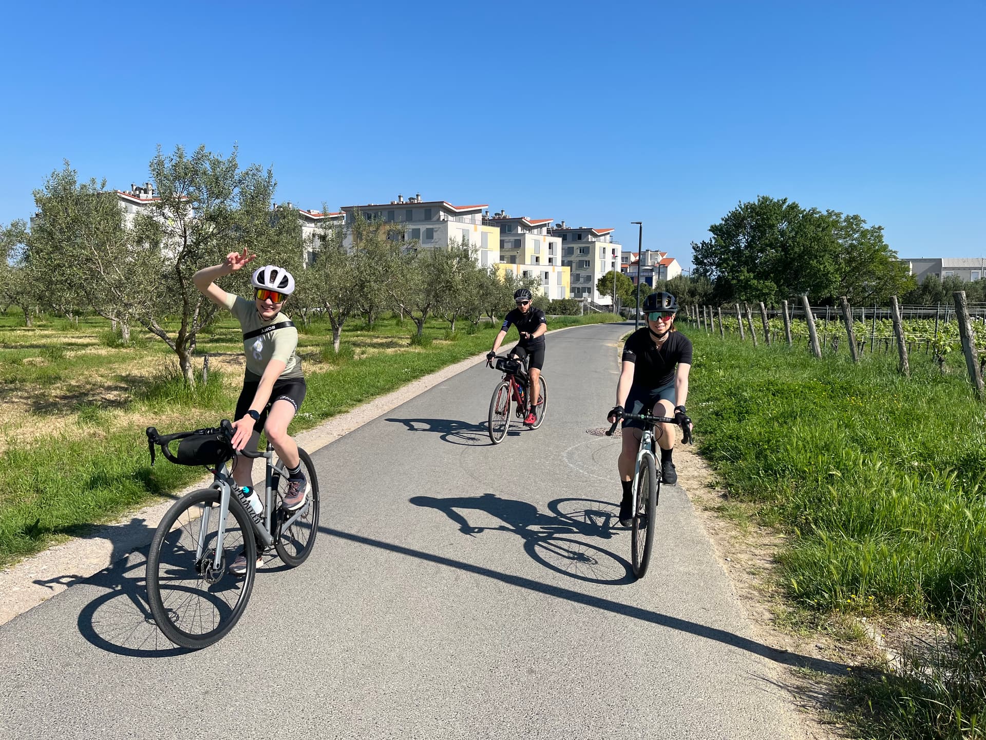 Cyclists riding on paved path through olive grove near modern buildings in Istria.