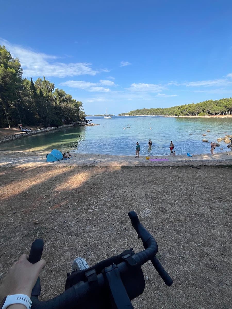 Cyclist looking at people swimming in coastal bay with pine trees