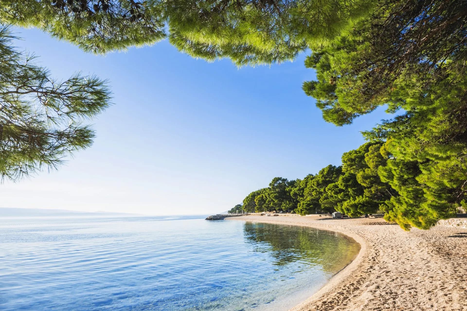 Sandy beach curving along clear blue sea, framed by green pine trees, Makarska Riviera