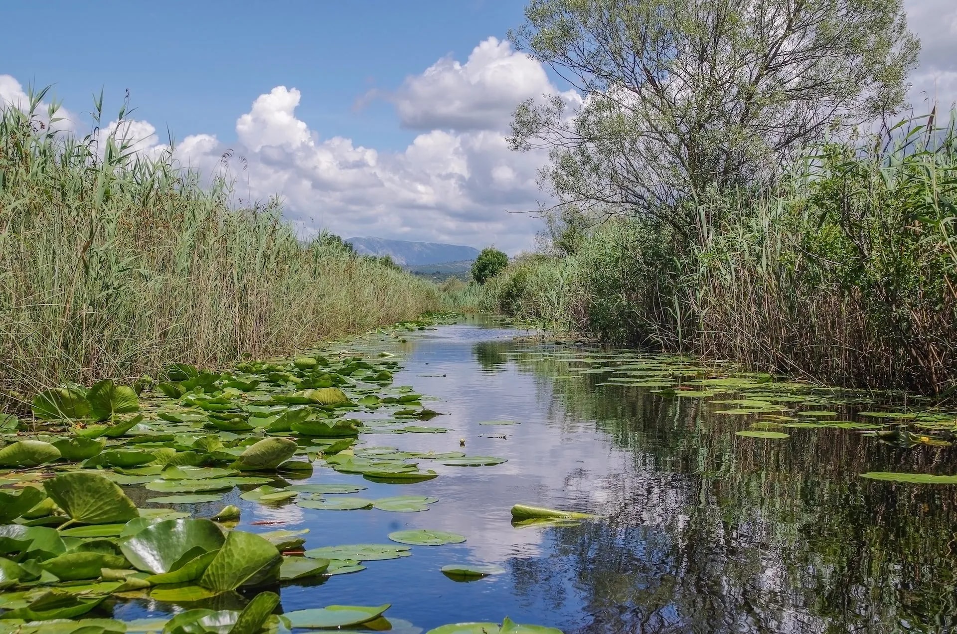 Hutovo blato np