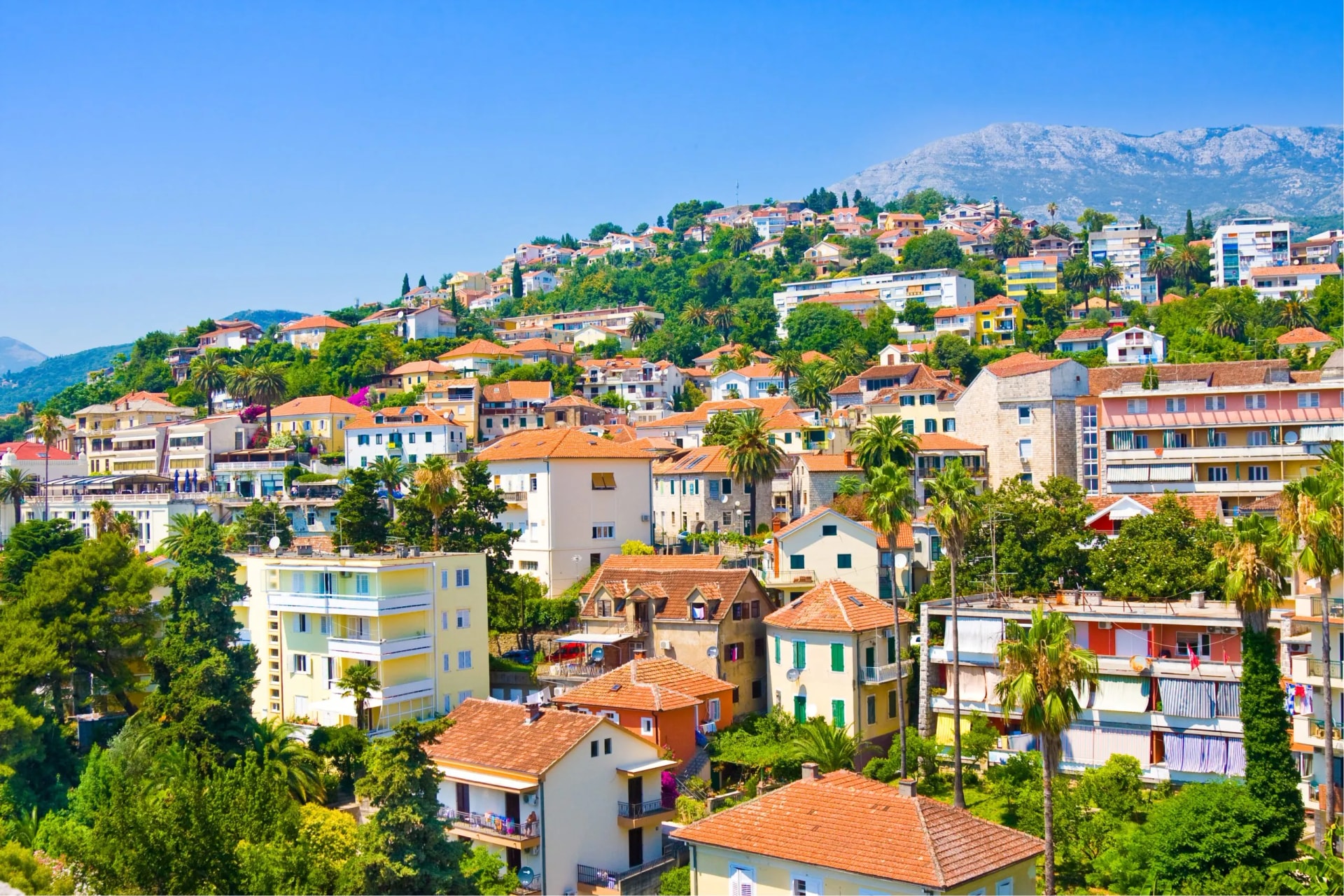 Herceg Novi