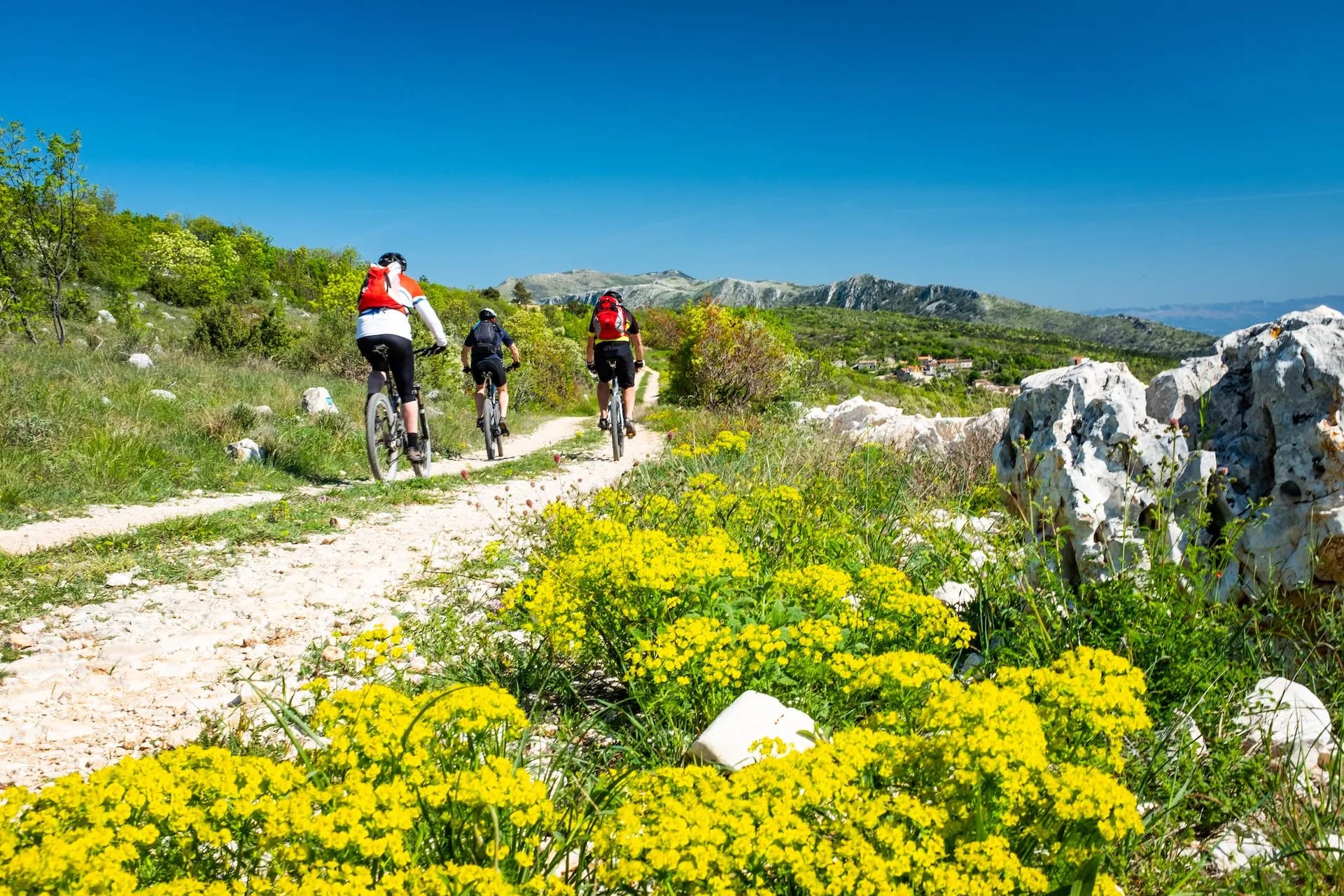 Cycling holidays croatia