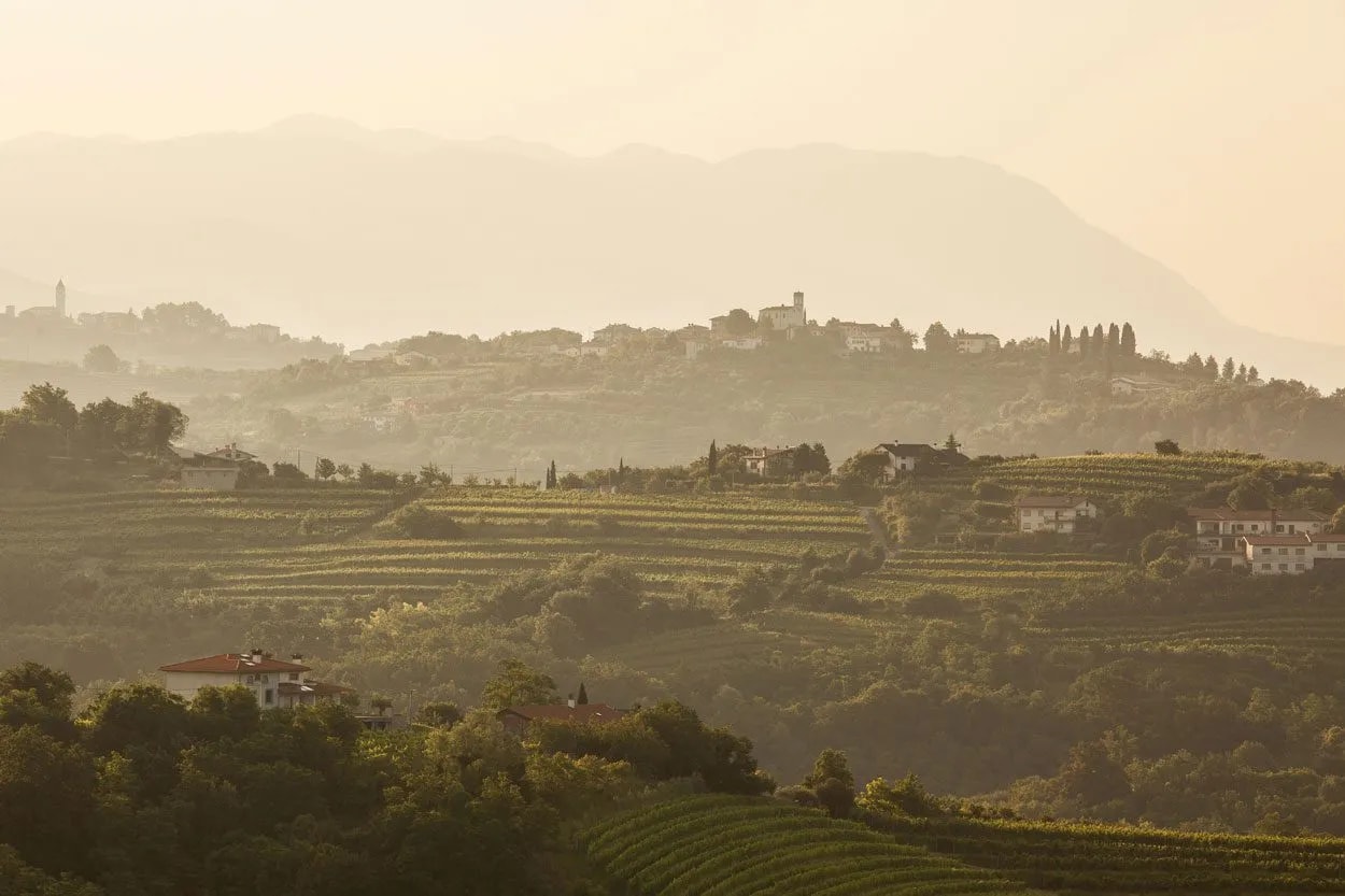 Goriska brda at sunset