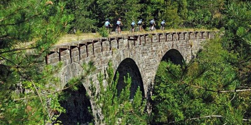 Cyclists riding across a stone arched bridge surrounded by dense green forest foliage.