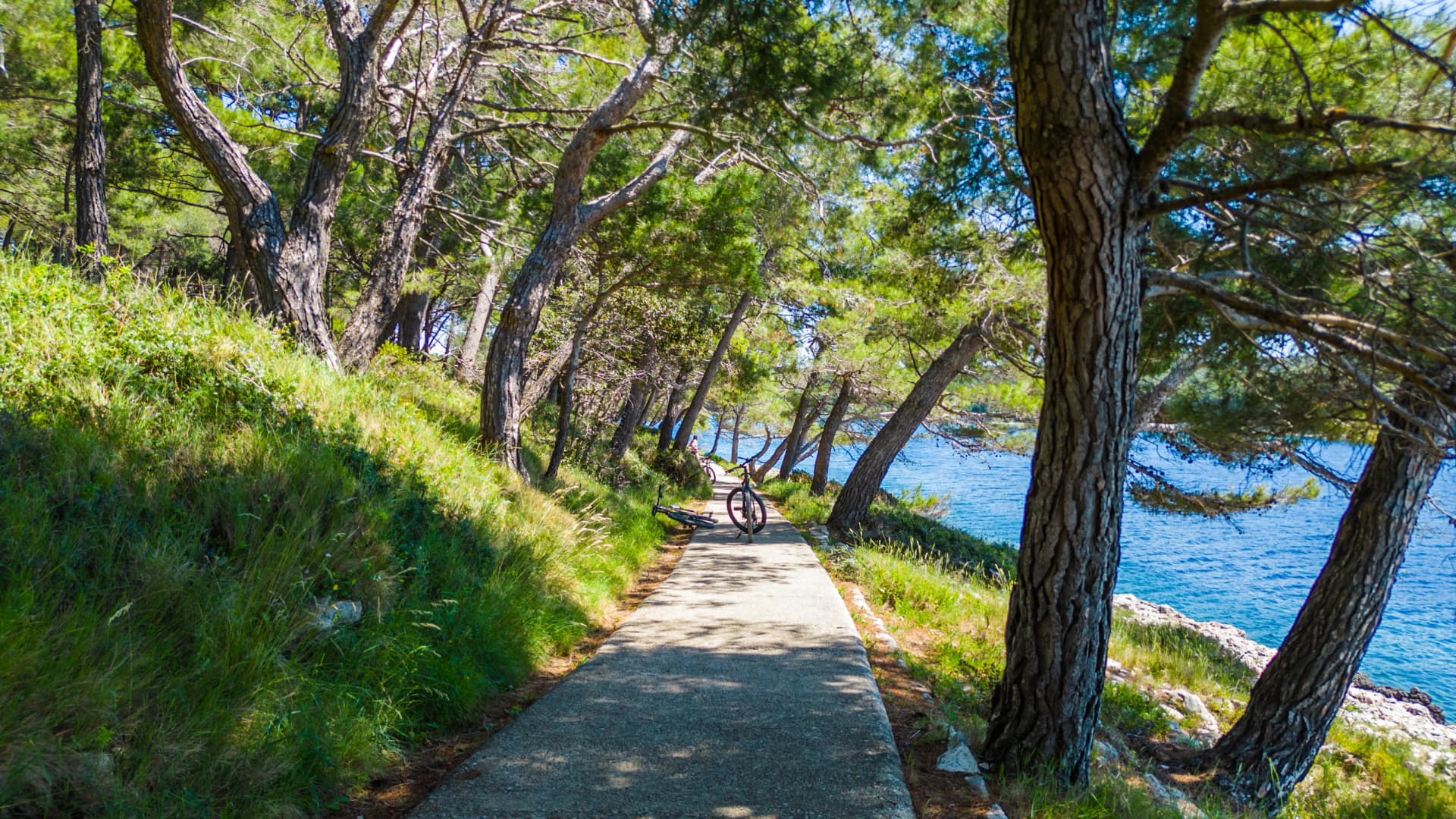 Aerial view of Camping Čikat on Lošinj (Losinj) island, surrounded by a beautiful pine forest and the Adriatic Sea. Known for XTERRA races, biking trails, and crystal-clear coastline views