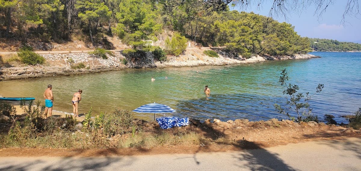 People swimming and relaxing at a small rocky coastal bay surrounded by pine trees