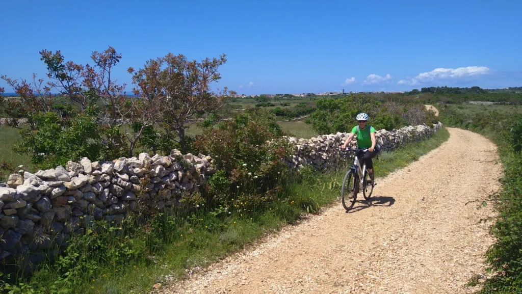 Fietsen tussen de velden