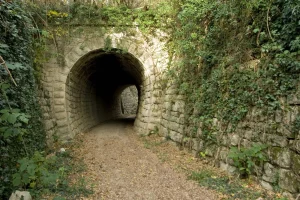 Parenzana tunnels